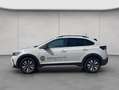 Volkswagen Taigo GOAL 1.0 TSI NAVI,RFK,ACC,GJR Grau - thumbnail 2