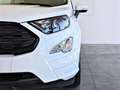 Ford EcoSport 1.0 EcoBoost 125CV S&S ST-Line Design GAR-UFF 2024 Blanc - thumbnail 7
