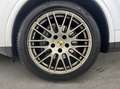 Porsche Cayenne PLATINUM 262CV Silber - thumbnail 8