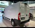 Fiat Ducato 35 3.0 CNG PM-TM Furgone 136CV 2020 *NETTO Wit - thumbnail 5