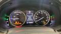 Lexus NX 300 NX Hybrid 4WD Executive PLUS Zilver - thumbnail 11