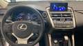 Lexus NX 300 NX Hybrid 4WD Executive PLUS Zilver - thumbnail 13