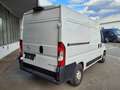 Opel Movano Kasten C L2H2 2.2 CDTI 165 Sitzheizung RKF PDC Weiß - thumbnail 3