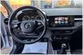 Skoda Fabia Fabia 1.0 mpi evo Style 80cv Argento - thumbnail 10