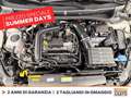 Volkswagen Polo 1.0 tsi life 95cv Bianco - thumbnail 13