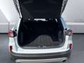 Ford Kuga 2.5 Plug-in-Hybrid ''Cool & Connect'' Parksensoren Weiß - thumbnail 12