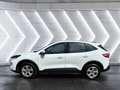 Ford Kuga 2.5 Plug-in-Hybrid ''Cool & Connect'' Parksensoren Weiß - thumbnail 3