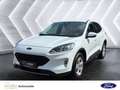 Ford Kuga 2.5 Plug-in-Hybrid ''Cool & Connect'' Parksensoren Weiß - thumbnail 1