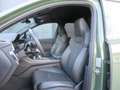 Audi Q7 60 TFSI e quattro 360 kW Grün - thumbnail 8