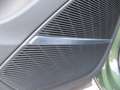 Audi Q7 60 TFSI e quattro 360 kW Grün - thumbnail 19