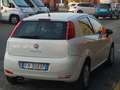 Fiat Punto Punto III 2012 5p 1.3 mjt Lounge s Bianco - thumbnail 4