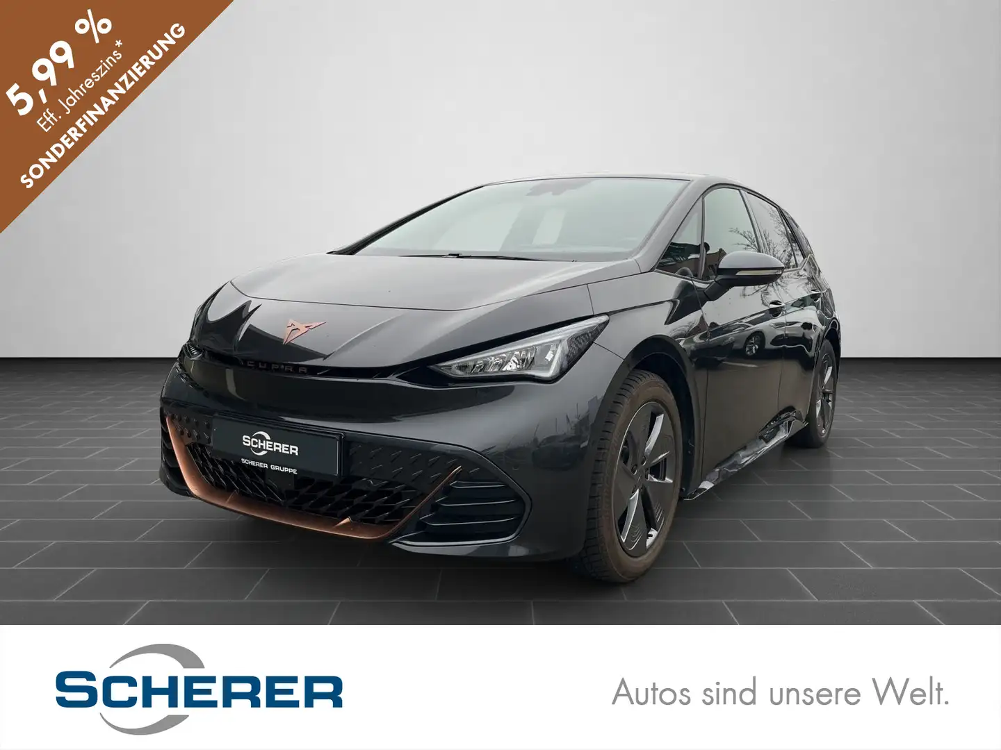 CUPRA Born Below Zero Pilot XL Top View ACC FULL LINK Grau - 1