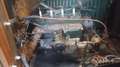 Citroen C3 C-3 Pick-up Bj 1926 Grün - thumbnail 18