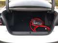 Citroen E-C4 X Elettrica 100kw (136cv) - Shine Bianco - thumbnail 6