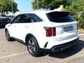 Kia Sorento 1.6T-GDI Hybrid AWD Autom. Platinum 7 Sitzer Blanc - thumbnail 7
