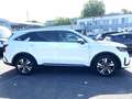 Kia Sorento 1.6T-GDI Hybrid AWD Autom. Platinum 7 Sitzer Blanc - thumbnail 4