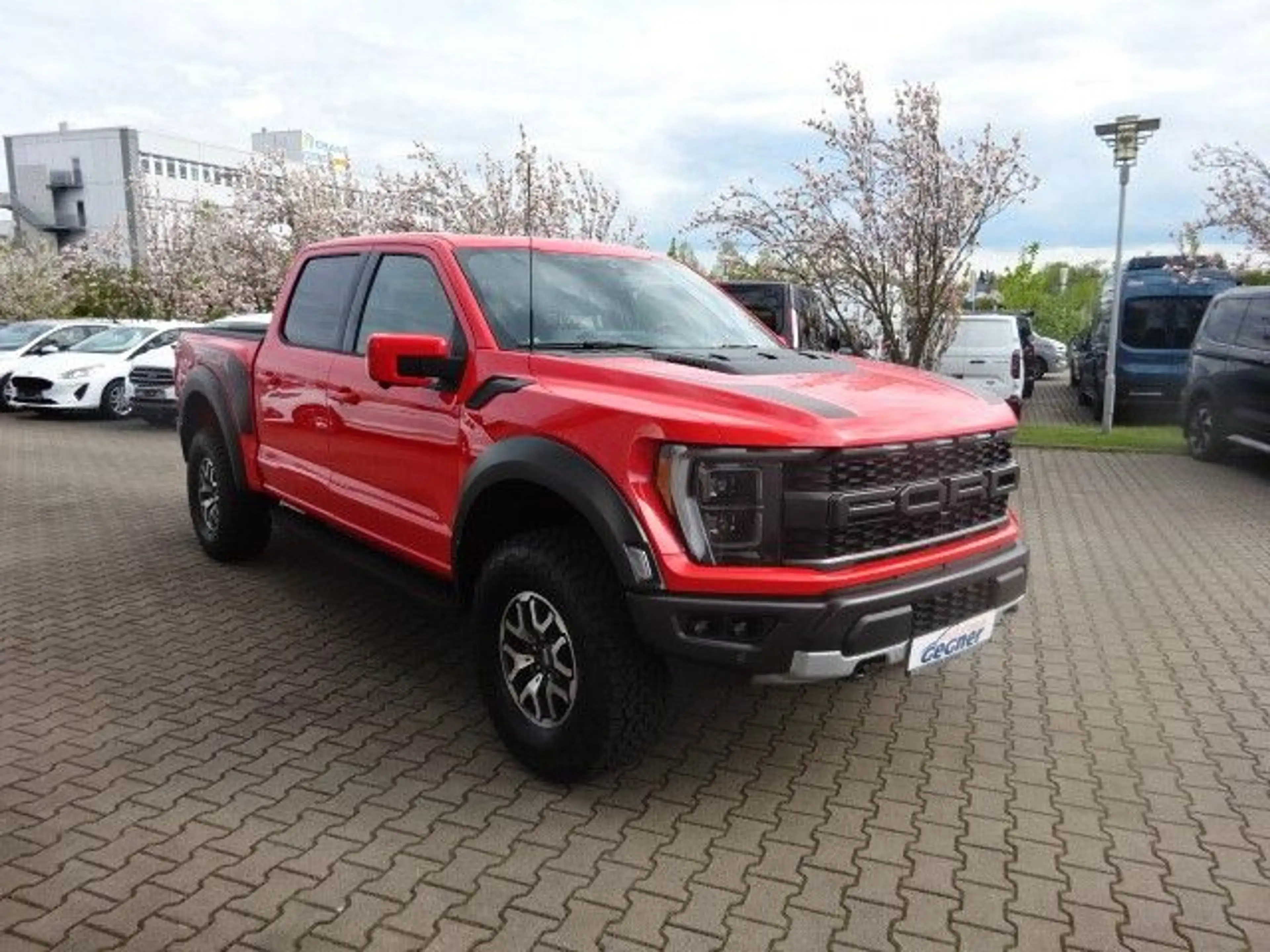Ford F 150 F-150 4x4 3.5 V6 EcoBoost Raptor ACC Panorama — photo 8