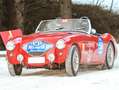 Austin-Healey 100 100/4 BN1 Rot - thumbnail 2