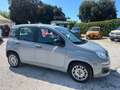 Fiat Panda 1.0 FireFly S&S Hybrid Gris - thumbnail 3