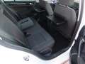 Volkswagen Golf Sportsvan 1.2TSI Sound 2.Hd*Navi*SHZ*PDC*8-f Weiß - thumbnail 20