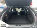 Kia ProCeed / pro_cee'd ProCeed 1.5 T-GDI DCT7 GT-Line|Navi| Bluetooth Grau - thumbnail 13