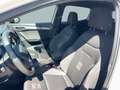 SEAT Ibiza FR Austria EcoTSI Weiß - thumbnail 8