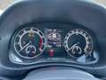 Skoda Fabia Combi 1.0 TSI Best of /NAVI/LED/LM-Felgen Grau - thumbnail 11