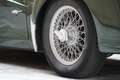 Triumph TR3 “A” Targa Oro Asi - thumbnail 7