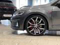 Volkswagen Golf GTI Golf GTI Performance 2.0 245 CV TSI DSG 5p. BMT Weiß - thumbnail 15