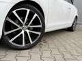 Volkswagen Golf Cabriolet 1.4 TSI Xenon Leder Cruise Climate Stoelverwarming - thumbnail 19