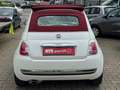 Fiat 500 Lounge CABRIO SERVICE NEU Weiß - thumbnail 5