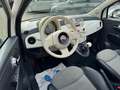 Fiat 500 Lounge CABRIO SERVICE NEU Weiß - thumbnail 8
