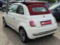 Fiat 500 Lounge CABRIO SERVICE NEU Weiß - thumbnail 6
