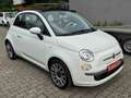 Fiat 500 Lounge CABRIO SERVICE NEU Weiß - thumbnail 4