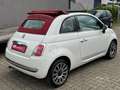 Fiat 500 Lounge CABRIO SERVICE NEU Weiß - thumbnail 7