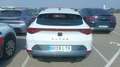 CUPRA Formentor 2.0 TSI 190 DSG 4Drive Blanco - thumbnail 5