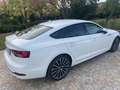 Audi A5 A5 Sportback 40 2.0 g-tron Business 170cv s-tronic Bianco - thumbnail 7