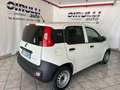 Fiat Panda 1.0 Hybrid Van 2 posti Easy Blanc - thumbnail 4