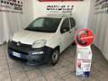 Fiat Panda 1.0 Hybrid Van 2 posti Easy Blanc - thumbnail 2