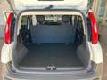 Fiat Panda 1.0 Hybrid Van 2 posti Easy Blanc - thumbnail 8