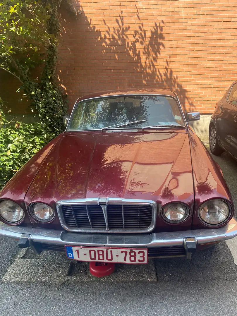 Jaguar XJ Rood - 1