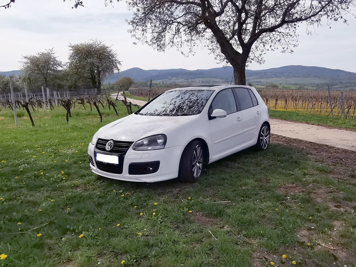Volkswagen Golf SONDERANGEBOT! Golf 2.0 TDI 4motion DPF GT Fehér - 2