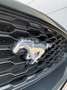 Ford Mustang 2,3 EcoBoost *32.000km*SCHALTER*INDIVIDUAL LACK* Grün - thumbnail 3