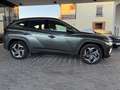 Hyundai TUCSON Plug-In-Hybrid 4WD|9xAssistenz|LED|AppleC Gris - thumbnail 20
