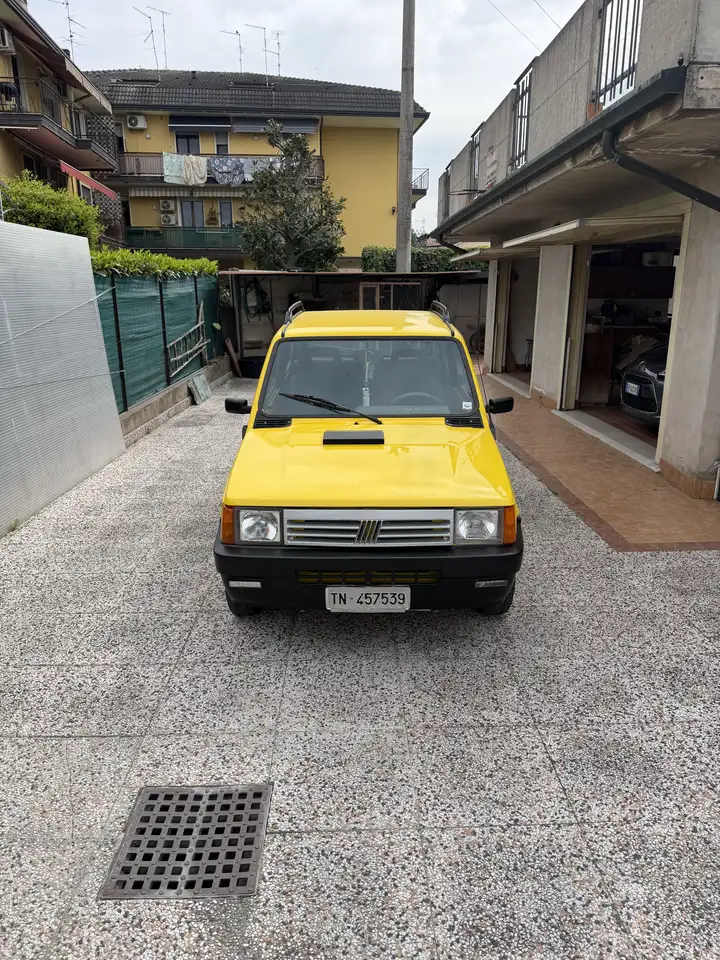 Fiat Panda 1.0 4x4 my86, foto 2