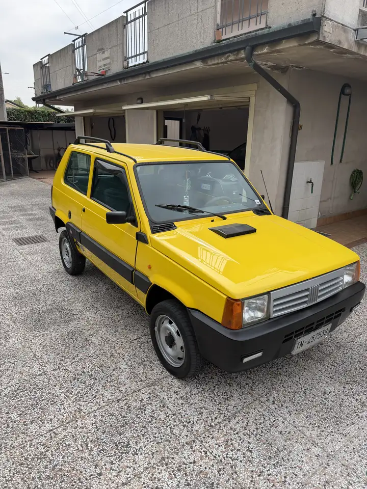 Fiat Panda 1.0 4x4 my86, foto 5
