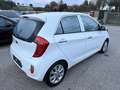 Kia Picanto 1,2 MPI Silber Aut. Weiß - thumbnail 7