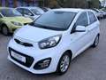 Kia Picanto 1,2 MPI Silber Aut. Weiß - thumbnail 3