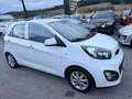 Kia Picanto 1,2 MPI Silber Aut. Weiß - thumbnail 9