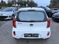 Kia Picanto 1,2 MPI Silber Aut. Weiß - thumbnail 6